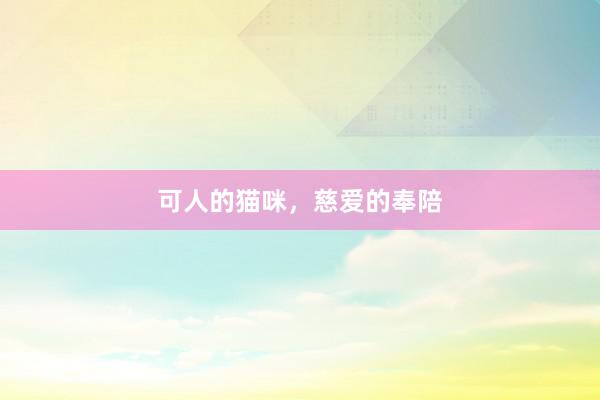 可人的猫咪，慈爱的奉陪