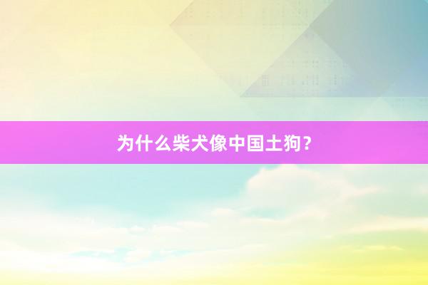 为什么柴犬像中国土狗？